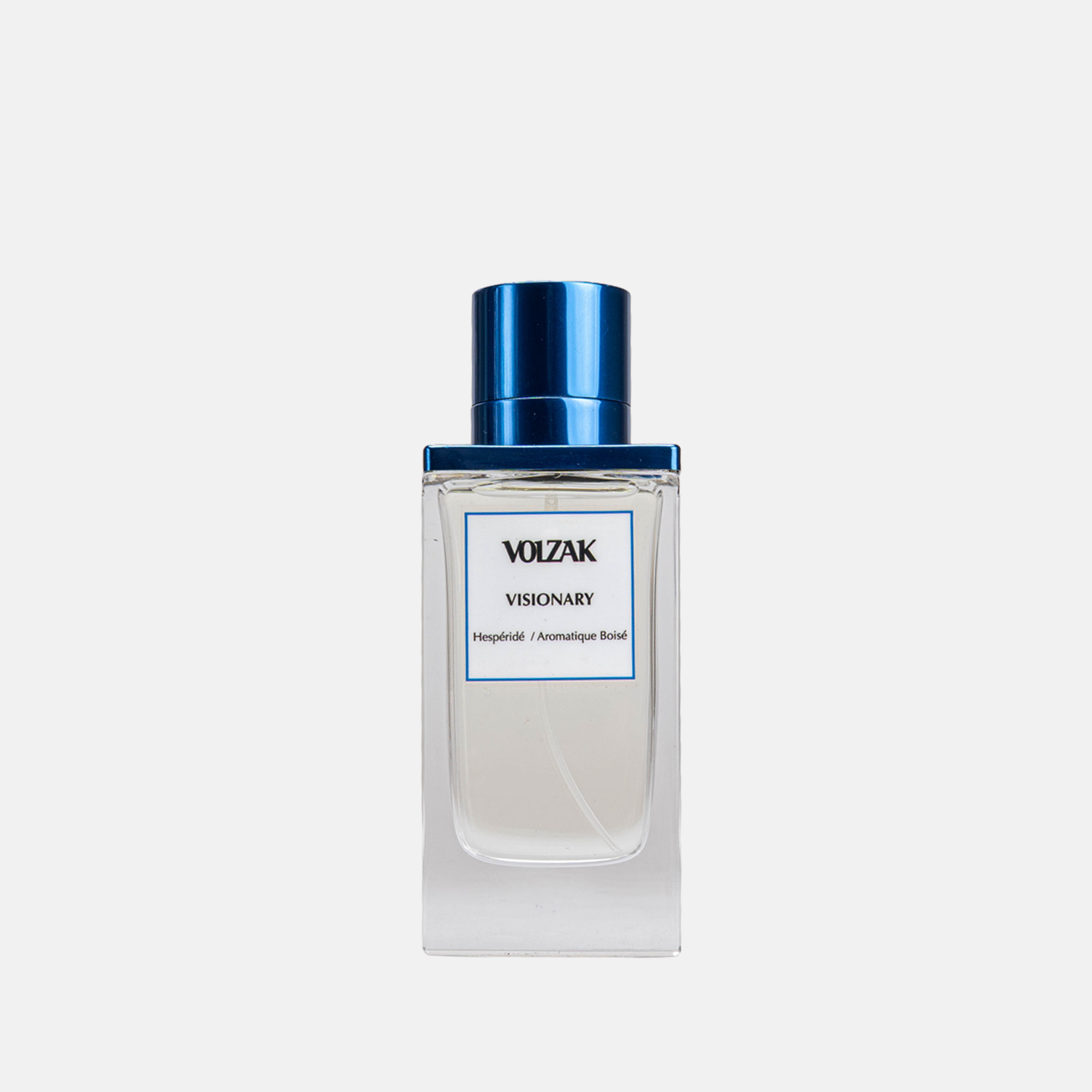 VOLZAK PARFUM VISIONARY 100ML HOMME