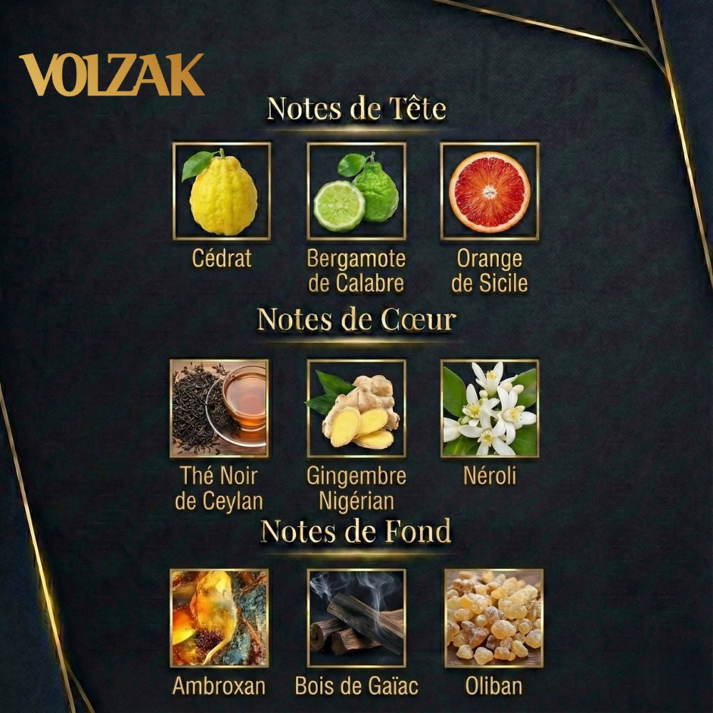 VOLZAK PARFUM  VISIONARY 100ML HOMME