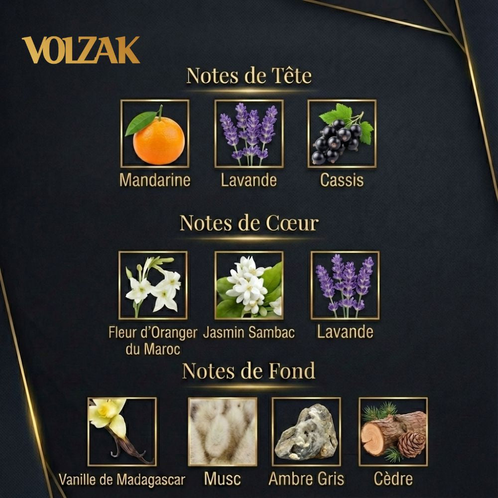 VOLZAK PARFUM ICONIC 100ML FEMME