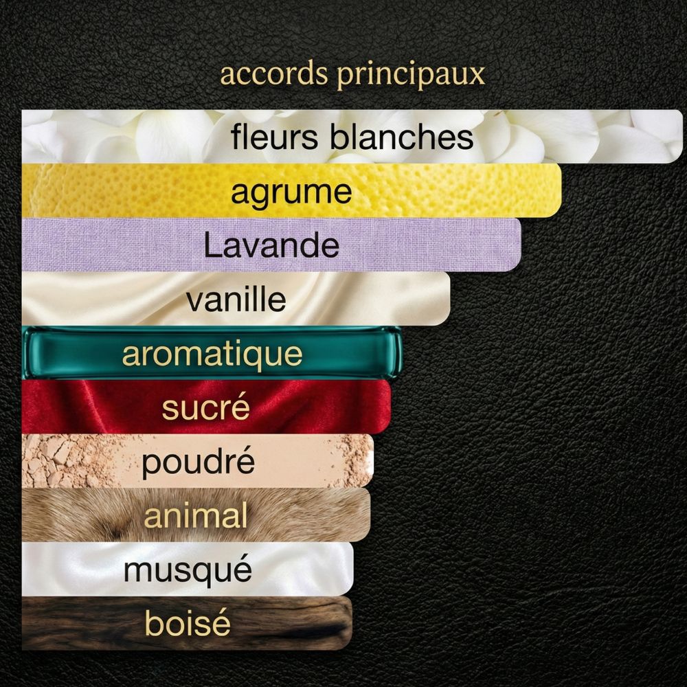 VOLZAK PARFUM ICONIC 100ML FEMME